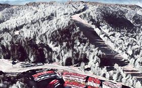 Arendo Ski Апартамент В Grand Monastery